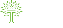 TKF - Staging Site